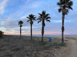 257-17-01-2026 IMG_3468